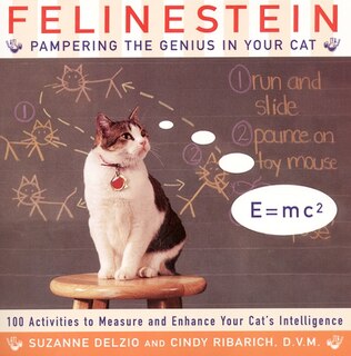 Front cover_Felinestein