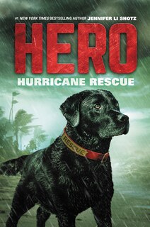 Couverture_Hero: Hurricane Rescue