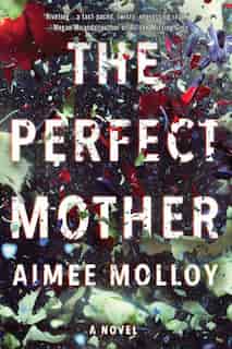 The Perfect Mother: A Novel by Aimee Molloy