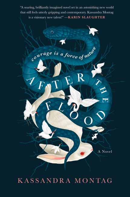 Couverture_After The Flood