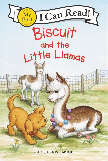 Front cover_Biscuit And The Little Llamas