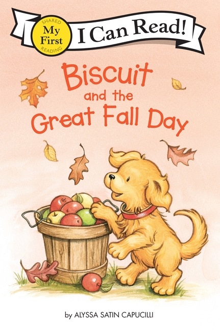 Couverture_Biscuit And The Great Fall Day