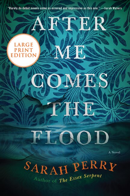 Couverture_After Me Comes The Flood