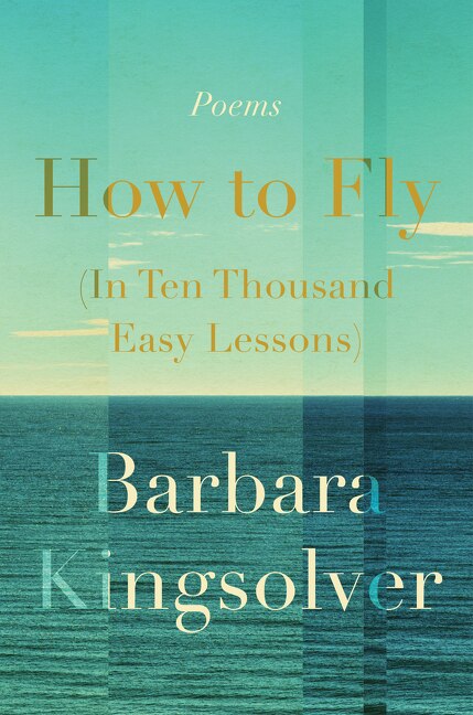 Front cover_How To Fly (in Ten Thousand Easy Lessons)