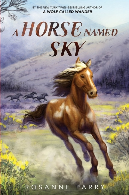 Front cover_A Horse Named Sky