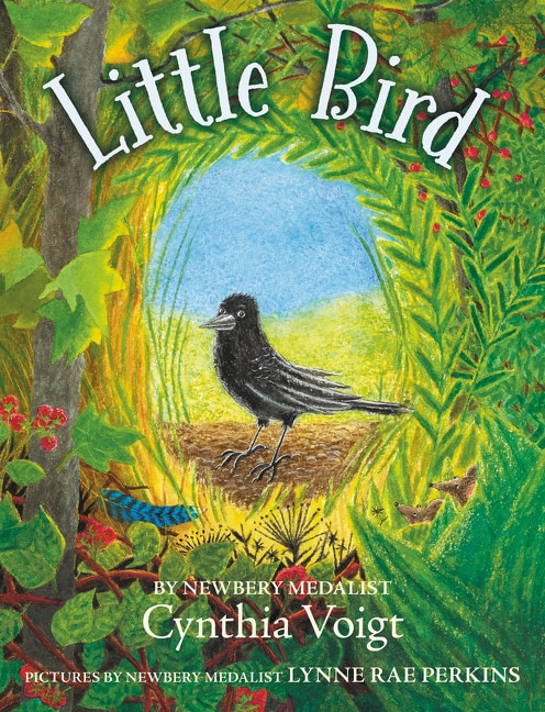 Front cover_Little Bird