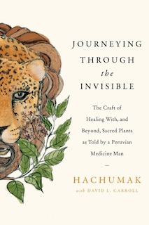 Front cover_Journeying Through The Invisible