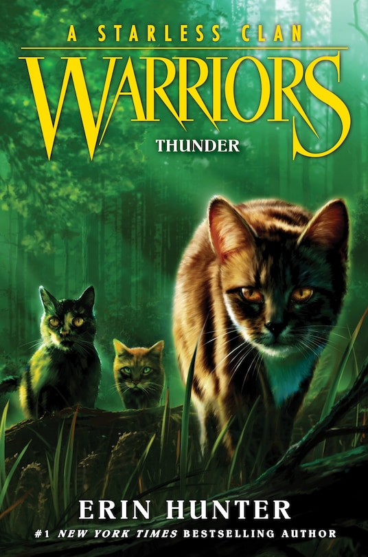 Front cover_Warriors: A Starless Clan #4: Thunder