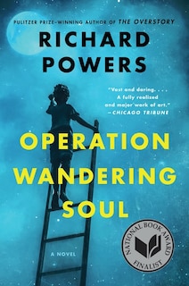 Front cover_Operation Wandering Soul