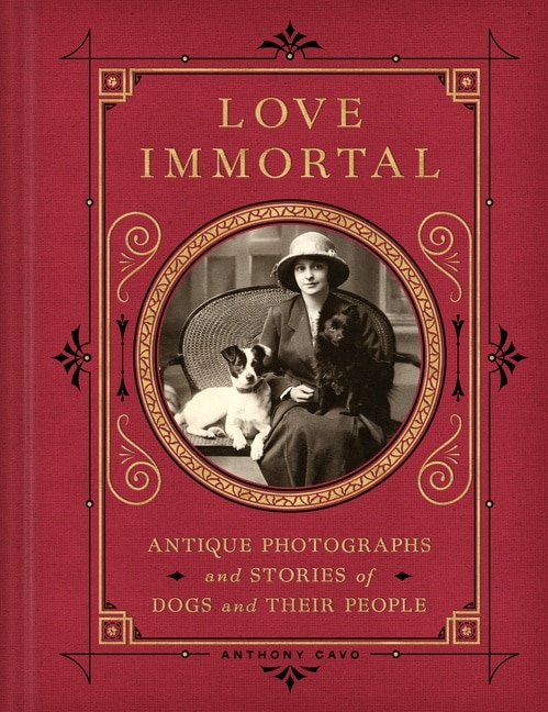 Front cover_Love Immortal