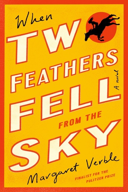 Front cover_When Two Feathers Fell From The Sky