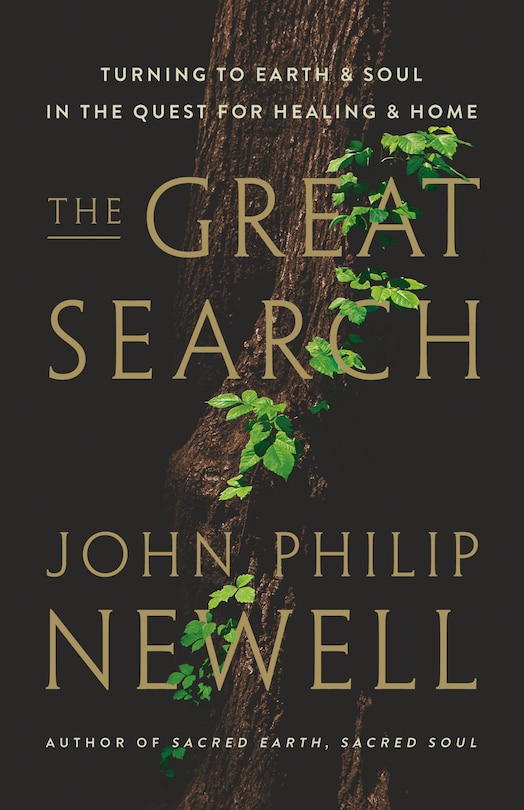 Front cover_The Great Search