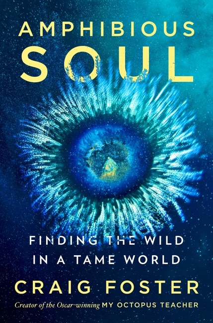 Couverture_Amphibious Soul