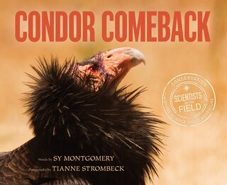 Front cover_Condor Comeback