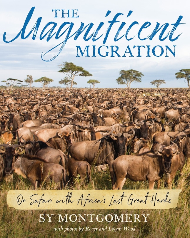 Front cover_Magnificent Migration