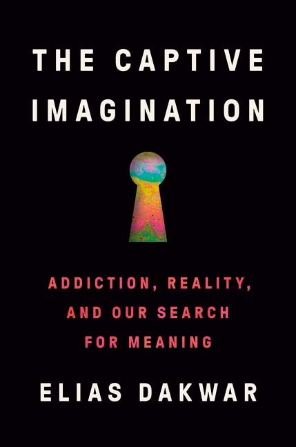 Couverture_The Captive Imagination