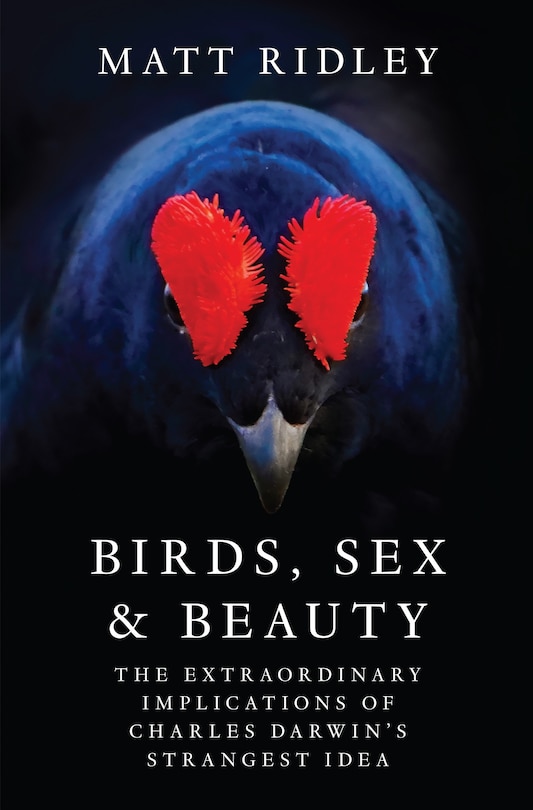 Couverture_Birds, Sex and Beauty