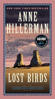 Front cover_Lost Birds