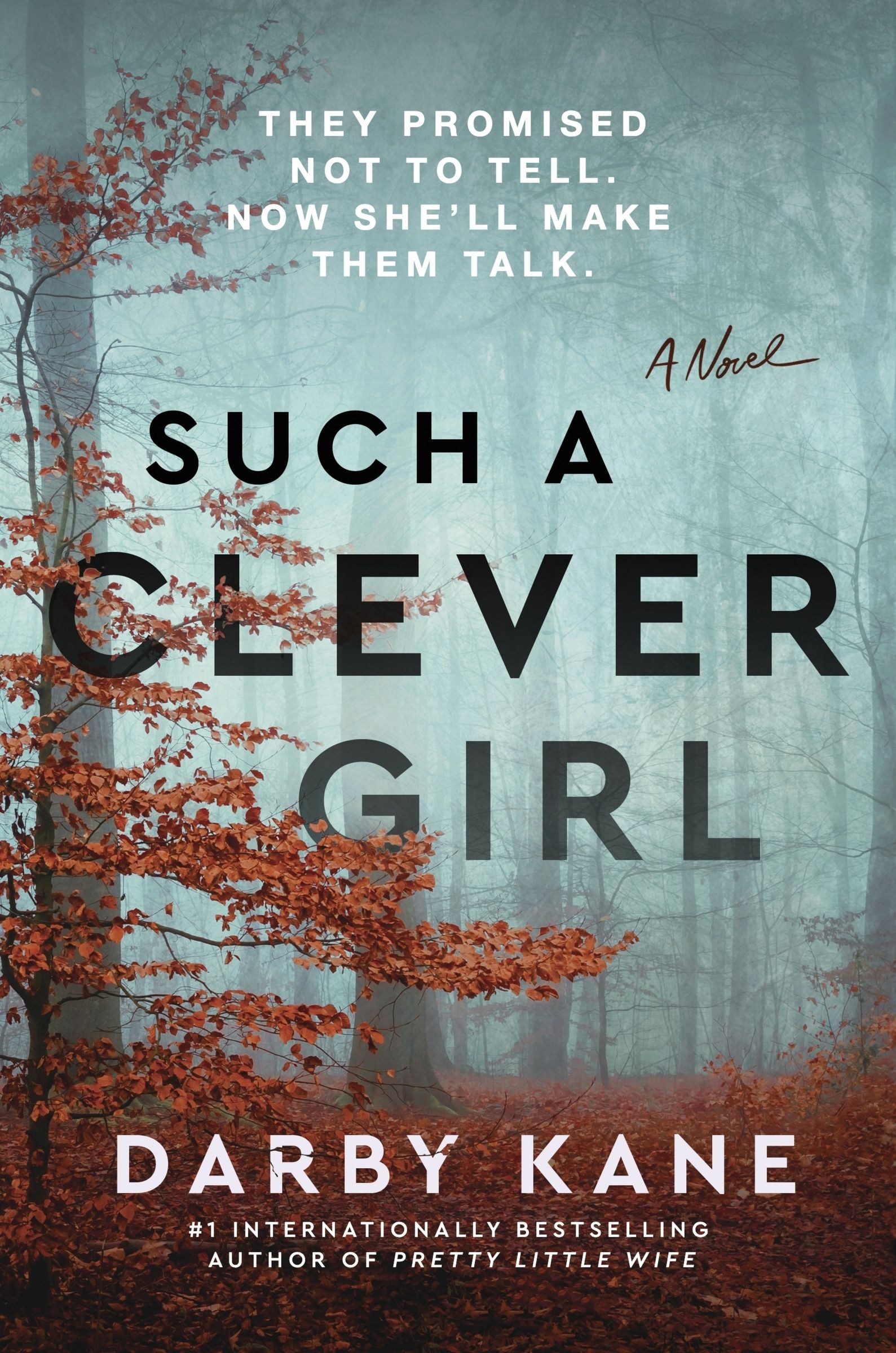 Such A Clever Girl: A Novel Book By Darby Kane, ('tc') | Indigo