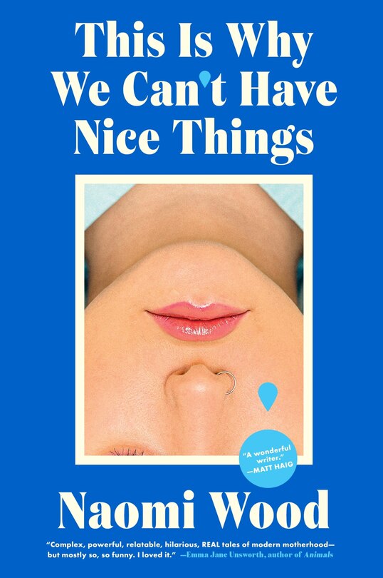 Front cover_This Is Why We Can’t Have Nice Things