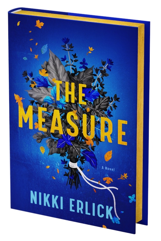 Front cover_The Measure Deluxe Collector's Edition