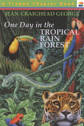 One Day In The Tropical Rain Forest