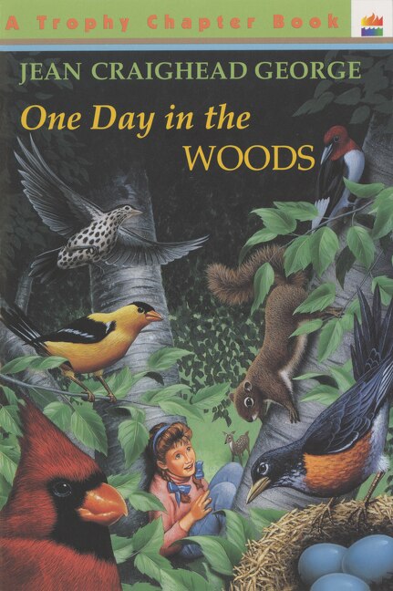 One Day In The Woods