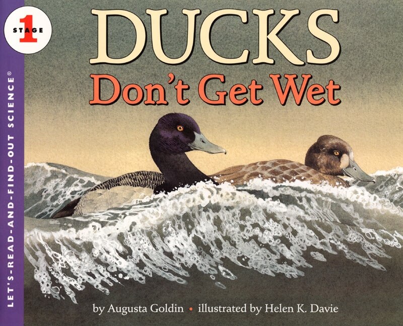 Front cover_Ducks Don't Get Wet