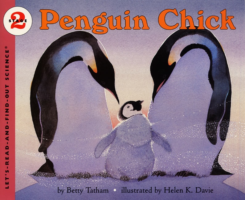 Front cover_Penguin Chick