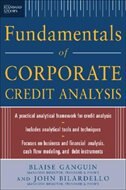 Standard & Poor's Fundamentals of Corporate Credit Analysis image number 0