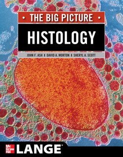 Front cover_Histology: The Big Picture