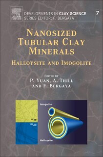 Nanosized Tubular Clay Minerals: Halloysite And Imogolite