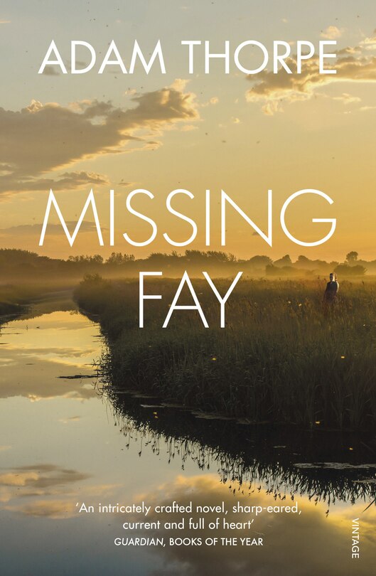 Couverture_Missing Fay