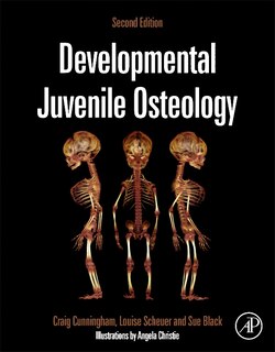 Front cover_Developmental Juvenile Osteology