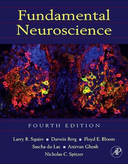 Couverture_Fundamental Neuroscience