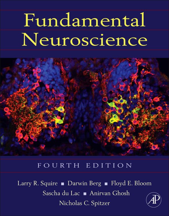 Couverture_Fundamental Neuroscience