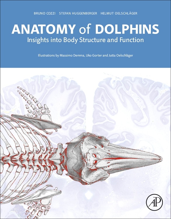 Front cover_Anatomy Of Dolphins