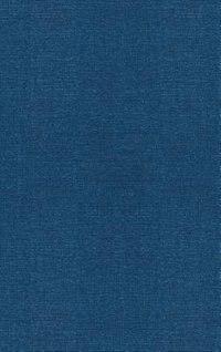 Front cover_Acoustic Communication in Birds