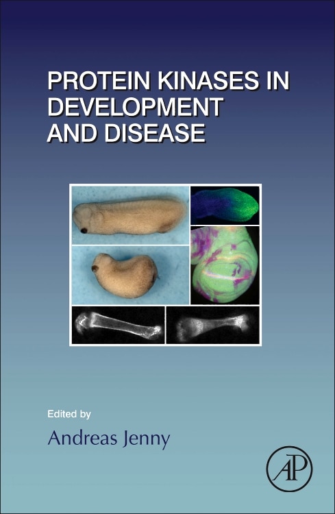 Couverture_Protein Kinases In Development And Disease