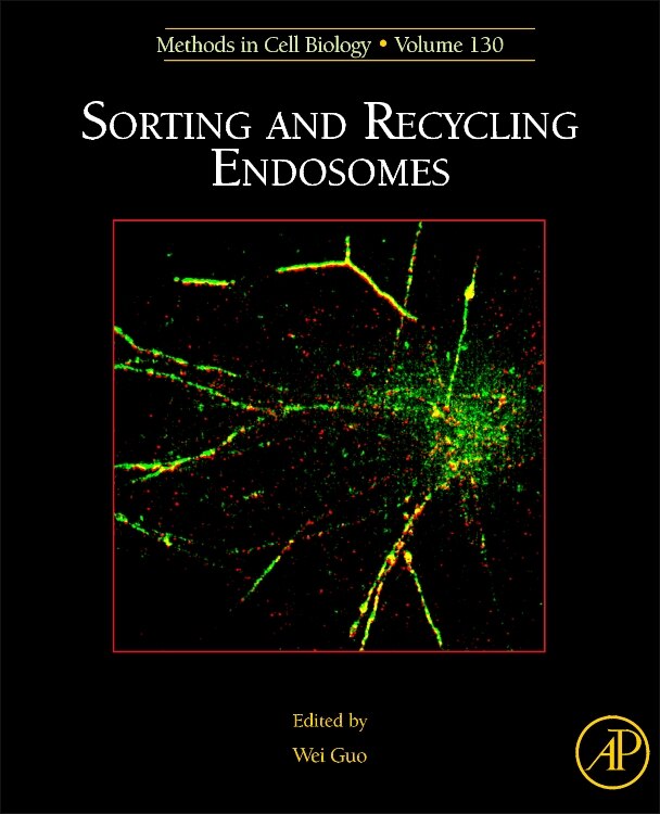 Front cover_Sorting And Recycling Endosomes