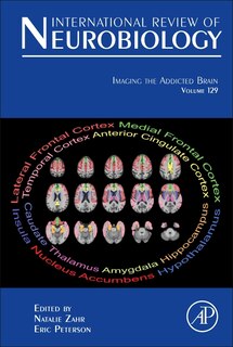 Couverture_Imaging The Addicted Brain