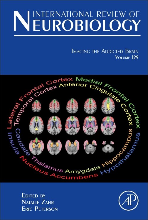 Couverture_Imaging The Addicted Brain