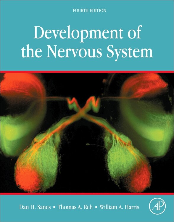 Couverture_Development Of The Nervous System