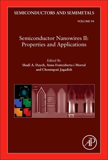 Front cover_Semiconductor Nanowires Ii