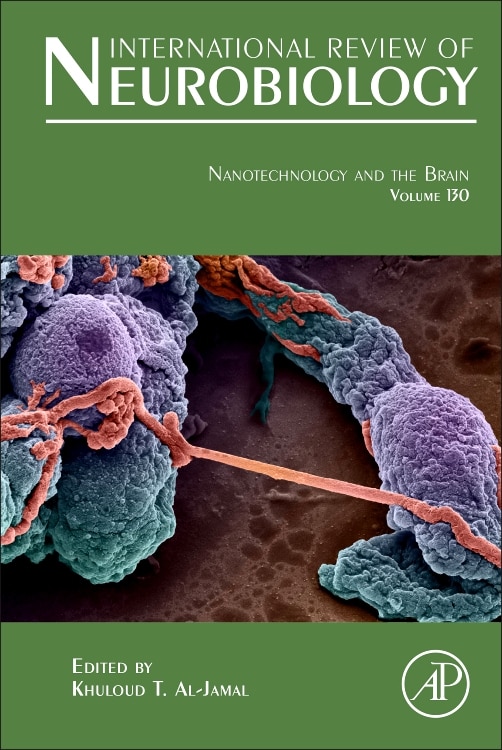 Front cover_Nanotechnology And The Brain
