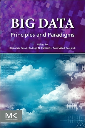 Big Data: Principles And Paradigms