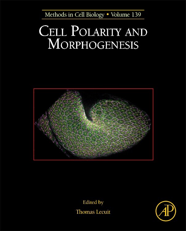 Couverture_Cell Polarity And Morphogenesis