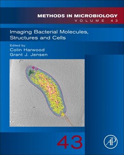 Front cover_Imaging Bacterial Molecules, Structures And Cells