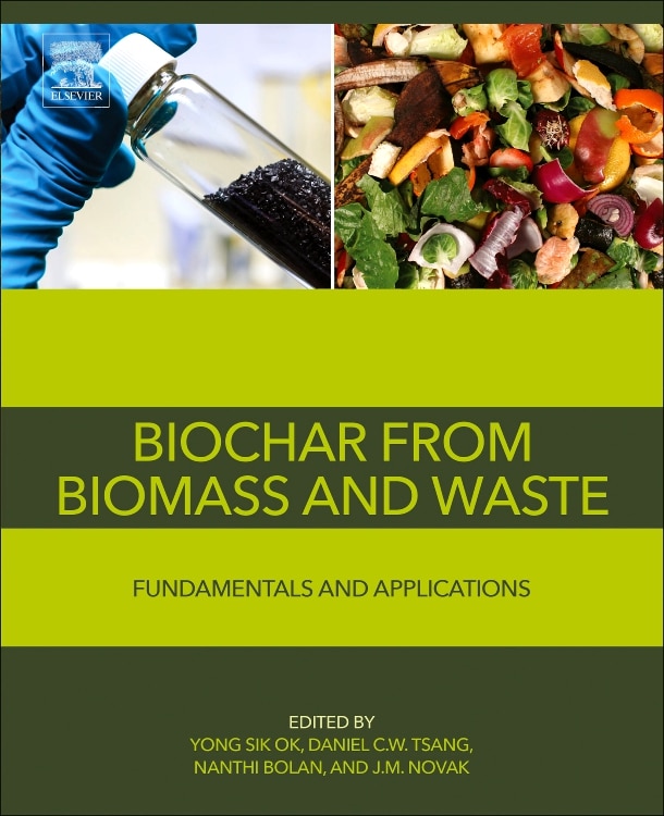 Front cover_Biochar From Biomass And Waste