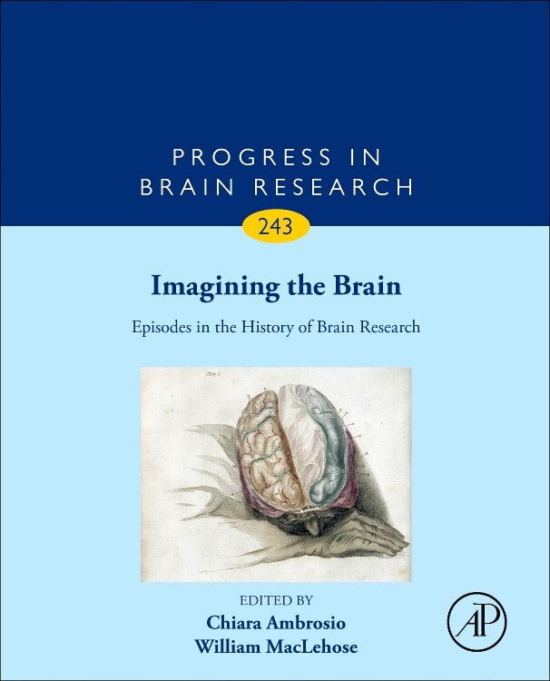 Couverture_Imagining The Brain